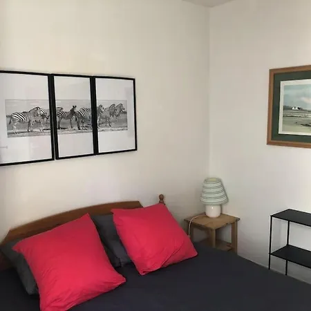 Flat In A Unique Location 30 M From The With Terrace And Garden * 카르나크